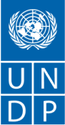 UNDP logo